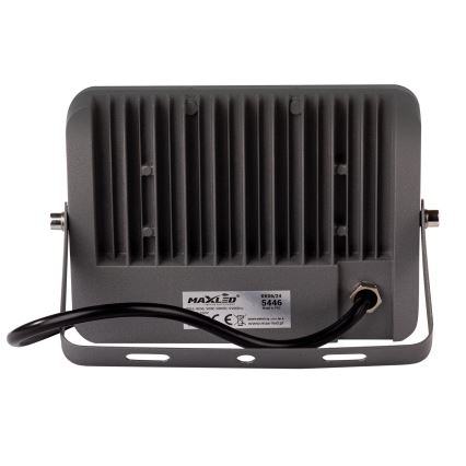 LED spoljni reflektor LED/100W/230V 5000K IP65 siva