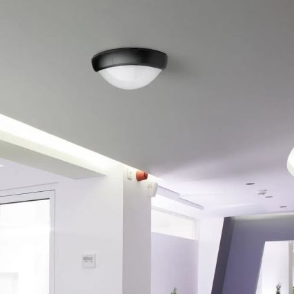 LED spoljno plafonsko svetlo LED/12W/230V IP54