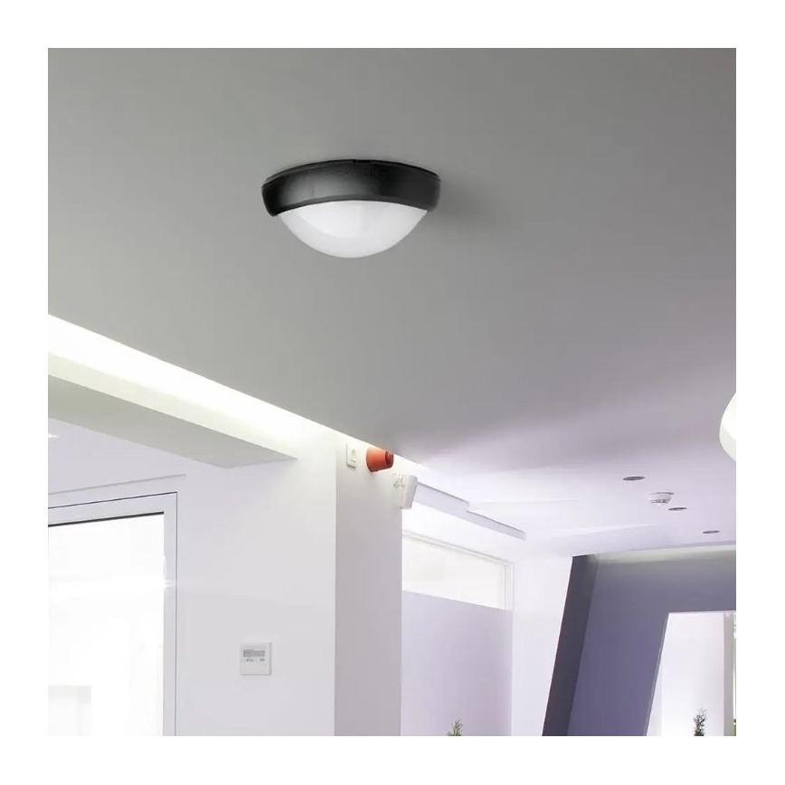 LED spoljno plafonsko svetlo LED/12W/230V IP54