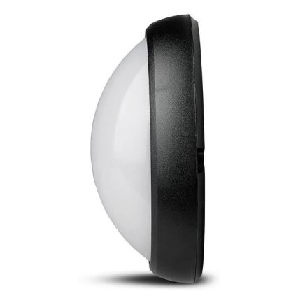 LED spoljno plafonsko svetlo LED/12W/230V IP54