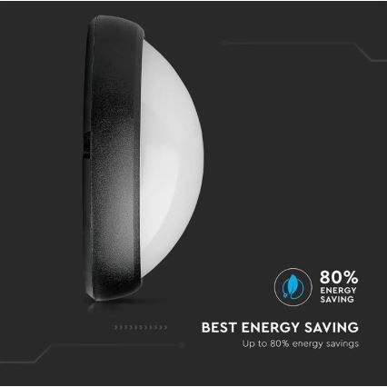 LED spoljno plafonsko svetlo LED/12W/230V IP54
