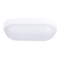 LED spoljno plafonsko svetlo LED/20W/230V IP54