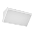 LED spoljno zidno svetlo LED/12W/230V 6400K IP65 belo