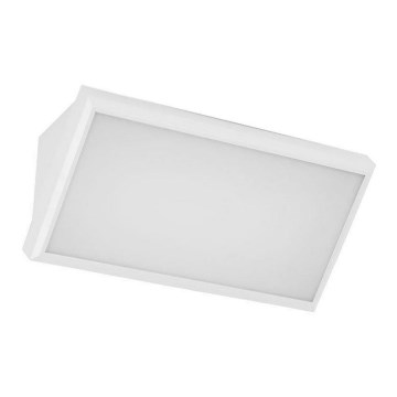 LED spoljno zidno svetlo LED/12W/230V 6400K IP65 belo
