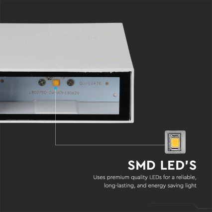 LED spoljno zidno svetlo LED/4W/230V 3000K IP65 belo