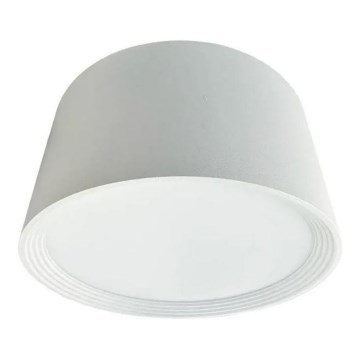LED spot svetiljka 17W/230V 4000K, prečnik 15 cm, bela
