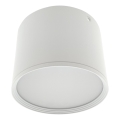 LED spot svetiljka LED/10W/230V 3000/4000/6400K prečnik 12 cm bela