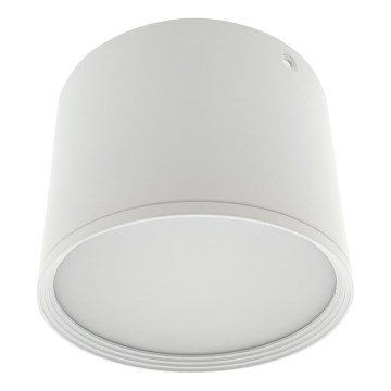 LED spot svetiljka LED/10W/230V 3000/4000/6400K prečnik 12 cm bela