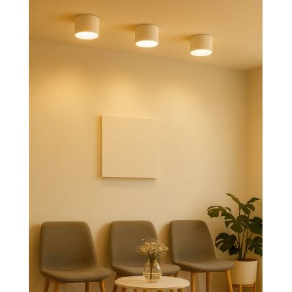 LED spot svetiljka LED/10W/230V 3000/4000/6400K prečnik 12 cm bela