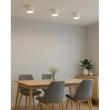 LED spot svetiljka LED/10W/230V 3000/4000/6400K prečnik 12 cm bela