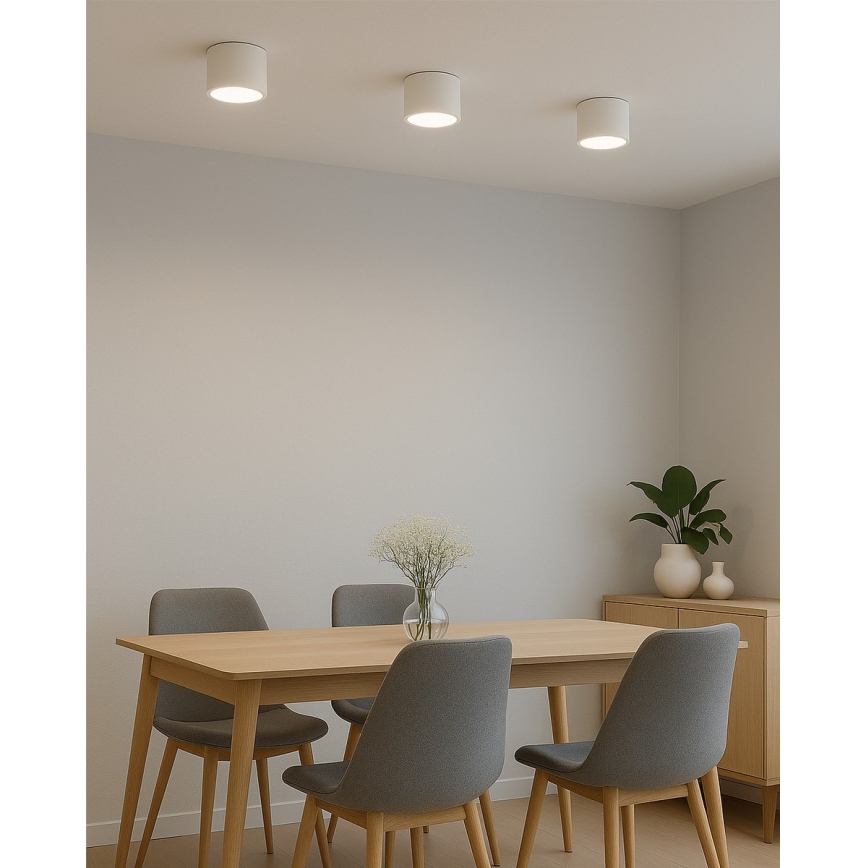 LED spot svetiljka LED/10W/230V 3000/4000/6400K prečnik 12 cm bela