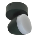 LED spot svetiljka SURMUR LED/6W/230V zelena