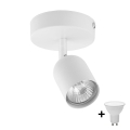 LED spot svetiljka TOP 1xGU10/10W/230V bela