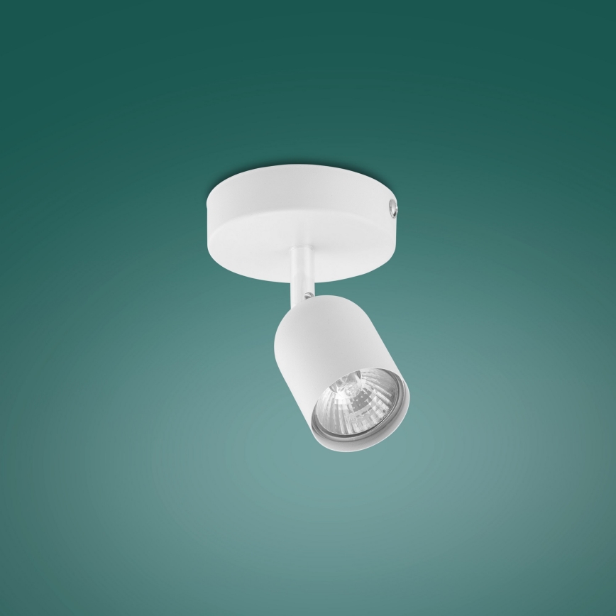 LED spot svetiljka TOP 1xGU10/10W/230V bela
