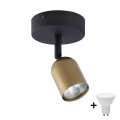 LED spot svetiljka TOP 1xGU10/10W/230V zlatna/crna