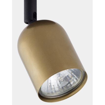 LED spot svetiljka TOP 1xGU10/10W/230V zlatna/crna