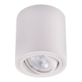 LED spot svetiljka TUBA 1xGU10/5W/230V 2700K bela