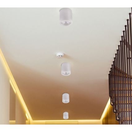 LED spot svetiljka TUBA 1xGU10/5W/230V 4000K bela