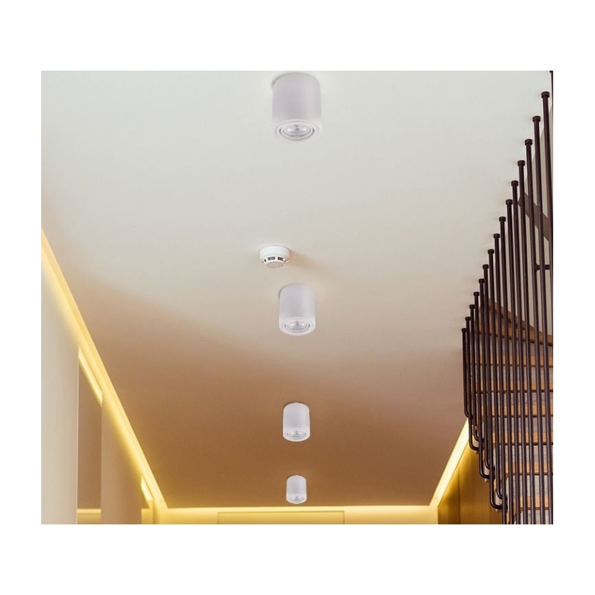 LED spot svetiljka TUBA 1xGU10/5W/230V 4000K bela
