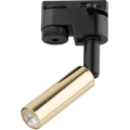 LED spot za jednofazni šinski sistem LAGOS 1xG9/3W/230V zlatna/crna