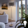 LED stojeća lampa TUNJA 1xE27/20W/230V Ø 38 cm mat hrom/braon