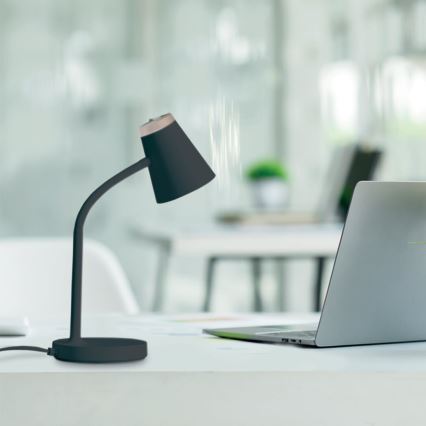 LED stona lampa CHICO LED/4,5W/230V crna