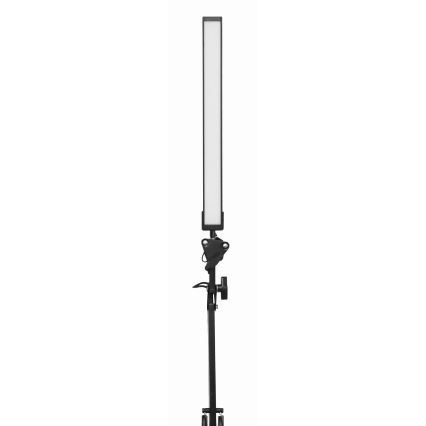 LED Stona lampa sa klipsom LED/10W/230V 2800-6800K