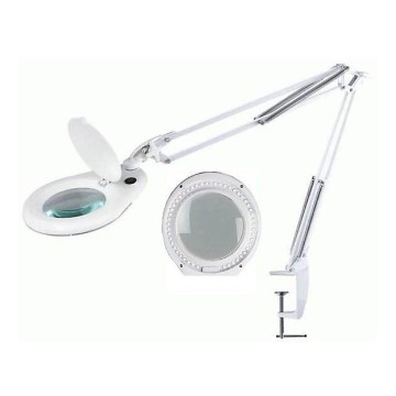 LED stona lampa sa lupom i stezaljkom LED/15W/230V