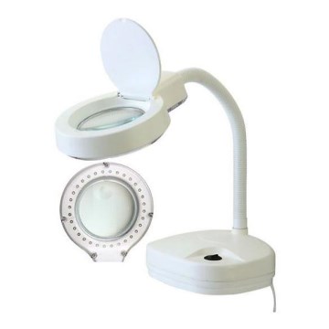 LED stona lampa sa lupom LED/10W/230V