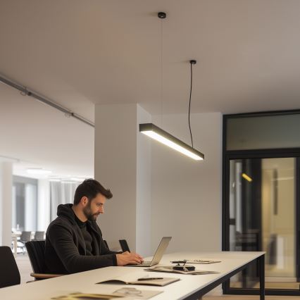LED Stropna površinski montirana viseća svetiljka CYNIDECO LED/12W/230V 4000K crna