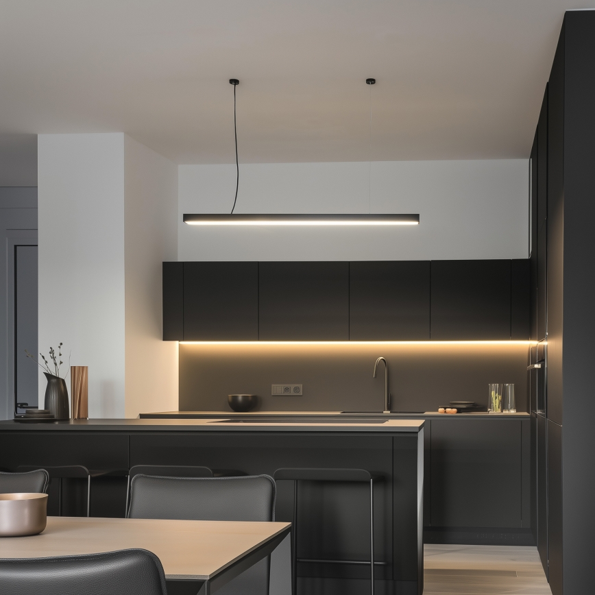 LED stropna prislonjena viseća svetiljka CYNIDECO LED/30W/230V 4000K crna