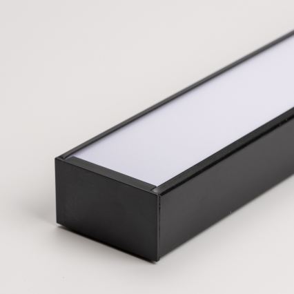 LED stropna prislonjena viseća svetiljka CYNIDECO LED/30W/230V 4000K crna