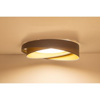 LED stropna svetiljka GALAXY MODERN LED/24W/230V preč. 55 cm siva/zlatna