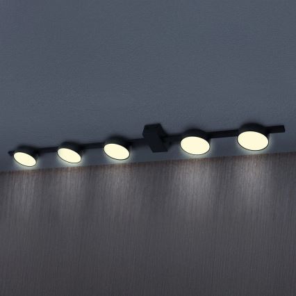 LED stropna svetiljka JOY 5xGX53/6W/230V crna