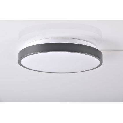LED stropna svetiljka KERN LED/15W/230V crna