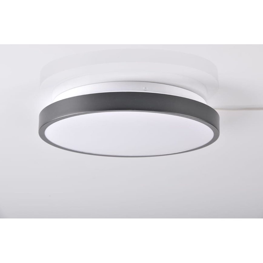 LED stropna svetiljka KERN LED/15W/230V crna