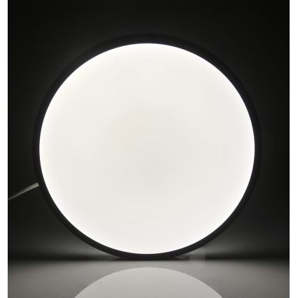 LED stropna svetiljka KERN LED/15W/230V crna