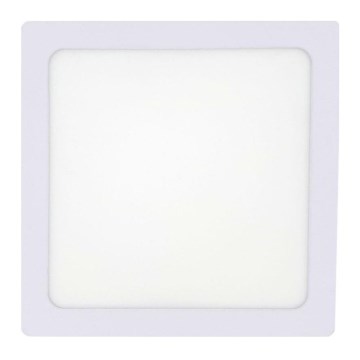 LED stropna svetiljka LED/12W/230V 4200K 16,3x16,3 cm bela