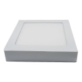 LED stropna svetiljka LED/12W/230V 6000K