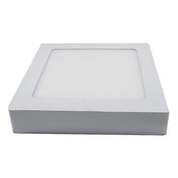 LED stropna svetiljka LED/12W/230V 6000K