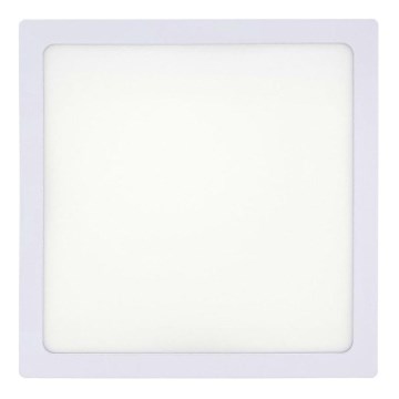 LED stropna svetiljka LED/18W/230V 2700K 21x21 cm bela