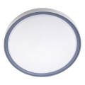 LED stropna svetiljka LED/18W/230V prečnik 30 cm bela/siva