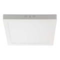 LED stropna svetiljka LED/24W/230V 3000K 28,7x28,7 cm bela
