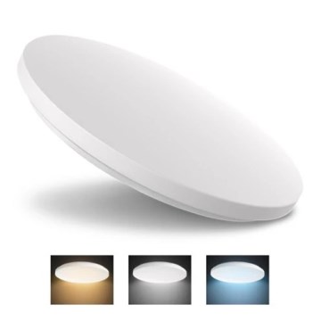 LED stropna svetiljka LED/24W/230V 3000K/4000K/6000K