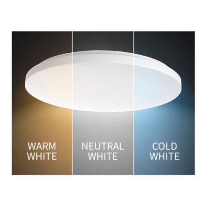 LED stropna svetiljka LED/24W/230V 3000K/4000K/6000K
