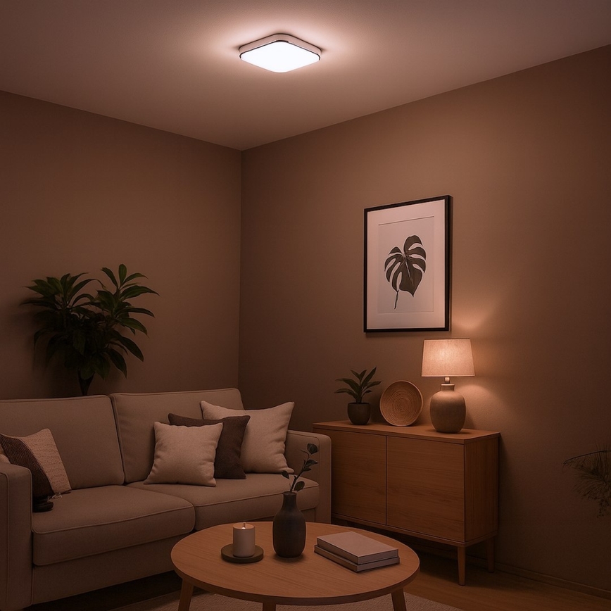 LED stropna svetiljka NEMO LED/11W/230V 26x26 cm sjajni hrom