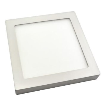 LED stropna svetiljka RIKI-P LED SMD/18W/230V 225x225 mm