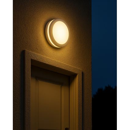 LED plafonsko svetlo za kupatilo sa senzorom pokreta LED/20W/230V 3000/4000/6500K Ø 23 cm IP54 belo