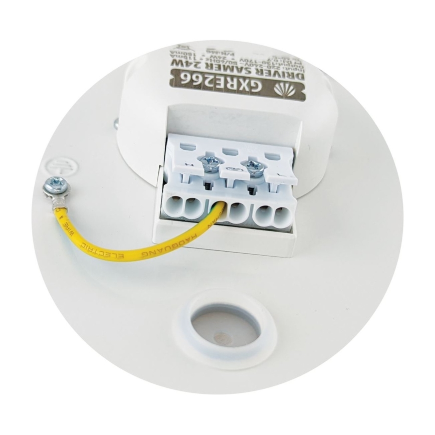LED Stropna svetiljka SAMER LED/32W/230V 4000K