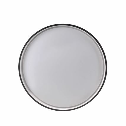 LED prigušiva stropna svetiljka za kupatilo JADWIGA LED/42W/230V prečnik 38,5 cm 3000-6000K IP44 + daljinski upravljač